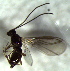  ( - 75.2-LM-42)  @12 [ ] CreativeCommons - Attribution Non-Commercial Share-Alike (2016) E. Villa-Galaviz University of Bristol