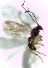  ( - 77.1-LM-03)  @11 [ ] CreativeCommons - Attribution Non-Commercial Share-Alike (2016) E. Villa-Galaviz University of Bristol