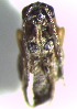  ( - 78.2-LM-05.1)  @11 [ ] CreativeCommons - Attribution Non-Commercial Share-Alike (2016) E. Villa-Galaviz University of Bristol