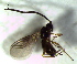  ( - 79.1-LM-37)  @11 [ ] CreativeCommons - Attribution Non-Commercial Share-Alike (2016) E. Villa-Galaviz University of Bristol