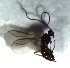  ( - 8.1-LM-100)  @12 [ ] CreativeCommons - Attribution Non-Commercial Share-Alike (2016) E. Villa-Galaviz University of Bristol