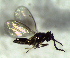  ( - 8.1-LM-77)  @11 [ ] CreativeCommons - Attribution Non-Commercial Share-Alike (2016) E. Villa-Galaviz University of Bristol