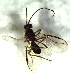  ( - 8.1-LM-79)  @12 [ ] CreativeCommons - Attribution Non-Commercial Share-Alike (2016) E. Villa-Galaviz University of Bristol