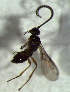  ( - 8.1-LM-89)  @11 [ ] CreativeCommons - Attribution Non-Commercial Share-Alike (2016) E. Villa-Galaviz University of Bristol