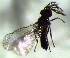  ( - 8.2-LM-34)  @11 [ ] CreativeCommons - Attribution Non-Commercial Share-Alike (2016) E. Villa-Galaviz University of Bristol