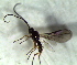  ( - 84.2-LM-46)  @11 [ ] CreativeCommons - Attribution Non-Commercial Share-Alike (2016) E. Villa-Galaviz University of Bristol