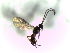  ( - Ash-L-144)  @11 [ ] CreativeCommons - Attribution Non-Commercial Share-Alike (2016) E. Villa-Galaviz University of Bristol