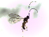  ( - Ash-L-57)  @11 [ ] CreativeCommons - Attribution Non-Commercial Share-Alike (2016) E. Villa-Galaviz University of Bristol