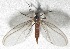  ( - BIOUG06723-C03)  @13 [ ] CreativeCommons - Attribution (2012) CBG Photography Group Centre for Biodiversity Genomics