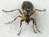  ( - BIOUG06723-E04)  @13 [ ] CreativeCommons - Attribution (2012) CBG Photography Group Centre for Biodiversity Genomics