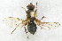  ( - BIOUG06723-F01)  @13 [ ] CreativeCommons - Attribution (2012) CBG Photography Group Centre for Biodiversity Genomics