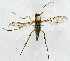  ( - BIOUG06723-F02)  @12 [ ] CreativeCommons - Attribution (2012) CBG Photography Group Centre for Biodiversity Genomics