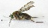  ( - BIOUG06723-F02)  @12 [ ] CreativeCommons - Attribution (2012) CBG Photography Group Centre for Biodiversity Genomics