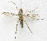  ( - BIOUG06723-F02)  @12 [ ] CreativeCommons - Attribution (2012) CBG Photography Group Centre for Biodiversity Genomics