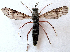  ( - BIOUG06723-G01)  @11 [ ] CreativeCommons - Attribution (2012) CBG Photography Group Centre for Biodiversity Genomics