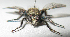  ( - BIOUG06723-G07)  @13 [ ] CreativeCommons - Attribution (2012) CBG Photography Group Centre for Biodiversity Genomics