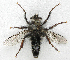 ( - BIOUG06723-G07)  @13 [ ] CreativeCommons - Attribution (2012) CBG Photography Group Centre for Biodiversity Genomics
