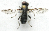  ( - BIOUG06723-G10)  @14 [ ] CreativeCommons - Attribution (2012) CBG Photography Group Centre for Biodiversity Genomics