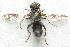  ( - BIOUG06723-G10)  @12 [ ] CreativeCommons - Attribution (2012) CBG Photography Group Centre for Biodiversity Genomics