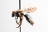  ( - UCSD.JLM.1018)  @11 [ ] by-nc (2025) Jessica Mullins Unspecified