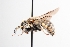  ( - UCSD.JLM.8682)  @11 [ ] by-nc (2025) Jessica Mullins Unspecified