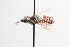  ( - UCSD.JLM.7255)  @11 [ ] by-nc (2025) Jessica Mullins Unspecified