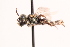  ( - UCSD.JLM.8001)  @11 [ ] by-nc (2025) Jessica Mullins Unspecified