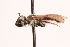  ( - UCSD.JLM.7520)  @11 [ ] by-nc (2025) Jessica Mullins Unspecified