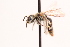  ( - UCSD.JLM.7149)  @11 [ ] by-nc (2025) Jessica Mullins Unspecified