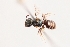  ( - UCSD.JLM.9345)  @11 [ ] by-nc (2025) Jessica Mullins Unspecified