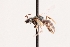  ( - UCSD.JLM.9345)  @11 [ ] by-nc (2025) Jessica Mullins Unspecified