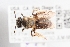  ( - UCSD.JLM.6842)  @11 [ ] by-nc (2025) Jessica Mullins Unspecified