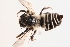  ( - UCSD.JLM.12488)  @11 [ ] by-nc (2025) Jessica Mullins Unspecified