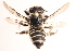  ( - UCSD.JLM.12002)  @11 [ ] by-nc (2025) Jessica Mullins Unspecified