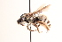  ( - UCSD.JLM.12289)  @11 [ ] by-nc (2025) Jessica Mullins Unspecified