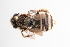 ( - UCSD.JLM.11982)  @11 [ ] by-nc (2025) Jessica Mullins Unspecified