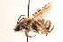  ( - UCSD.JLM.11982)  @11 [ ] by-nc (2025) Jessica Mullins Unspecified