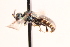  ( - UCSD.JLM.11141)  @11 [ ] by-nc (2025) Jessica Mullins Unspecified