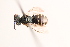  ( - UCSD.JLM.10681)  @11 [ ] by-nc (2025) Jessica Mullins Unspecified