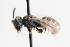  ( - UCSD.JLM.10681)  @11 [ ] by-nc (2025) Jessica Mullins Unspecified