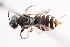  ( - UCSD.JLM.11125)  @11 [ ] by-nc (2025) Jessica Mullins Unspecified