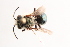  ( - UCSD.KJH.20685)  @11 [ ] by-nc (2025) Jessica Mullins Unspecified