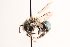  ( - UCSD.KJH.20685)  @11 [ ] by-nc (2025) Jessica Mullins Unspecified