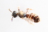  ( - UCSD.KJH.17169)  @11 [ ] by-nc (2025) Jessica Mullins Unspecified