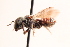  ( - UCSD.KJH.11375)  @11 [ ] by-nc (2025) Jessica Mullins Unspecified