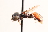  ( - UCSD.KJH.12533)  @11 [ ] by-nc (2025) Jessica Mullins Unspecified