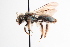  ( - UCSD.KJH.32762)  @11 [ ] by-nc (2025) Jessica Mullins Unspecified