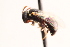  ( - UCSD.KJH.57664)  @11 [ ] by-nc (2025) Jessica Mullins Unspecified