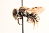  ( - UCSD.KJH.33161)  @11 [ ] by-nc (2025) Jessica Mullins Unspecified