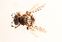  ( - UCSD.KJH.30701)  @11 [ ] by-nc (2025) Jessica Mullins Unspecified